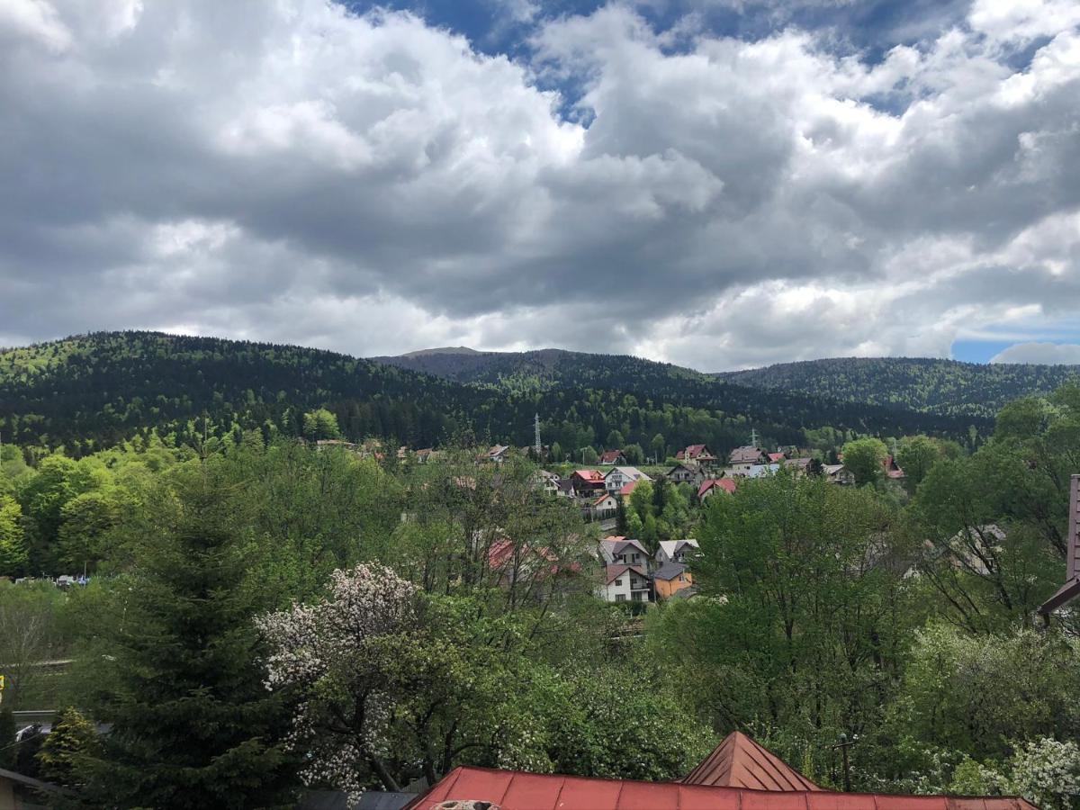 Bed and Breakfast Casa Ankeli Buşteni Zewnętrze zdjęcie