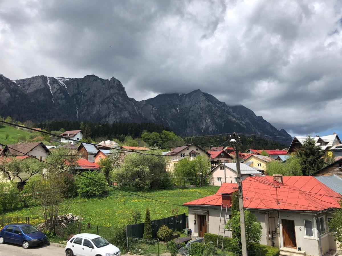 Bed and Breakfast Casa Ankeli Buşteni Zewnętrze zdjęcie