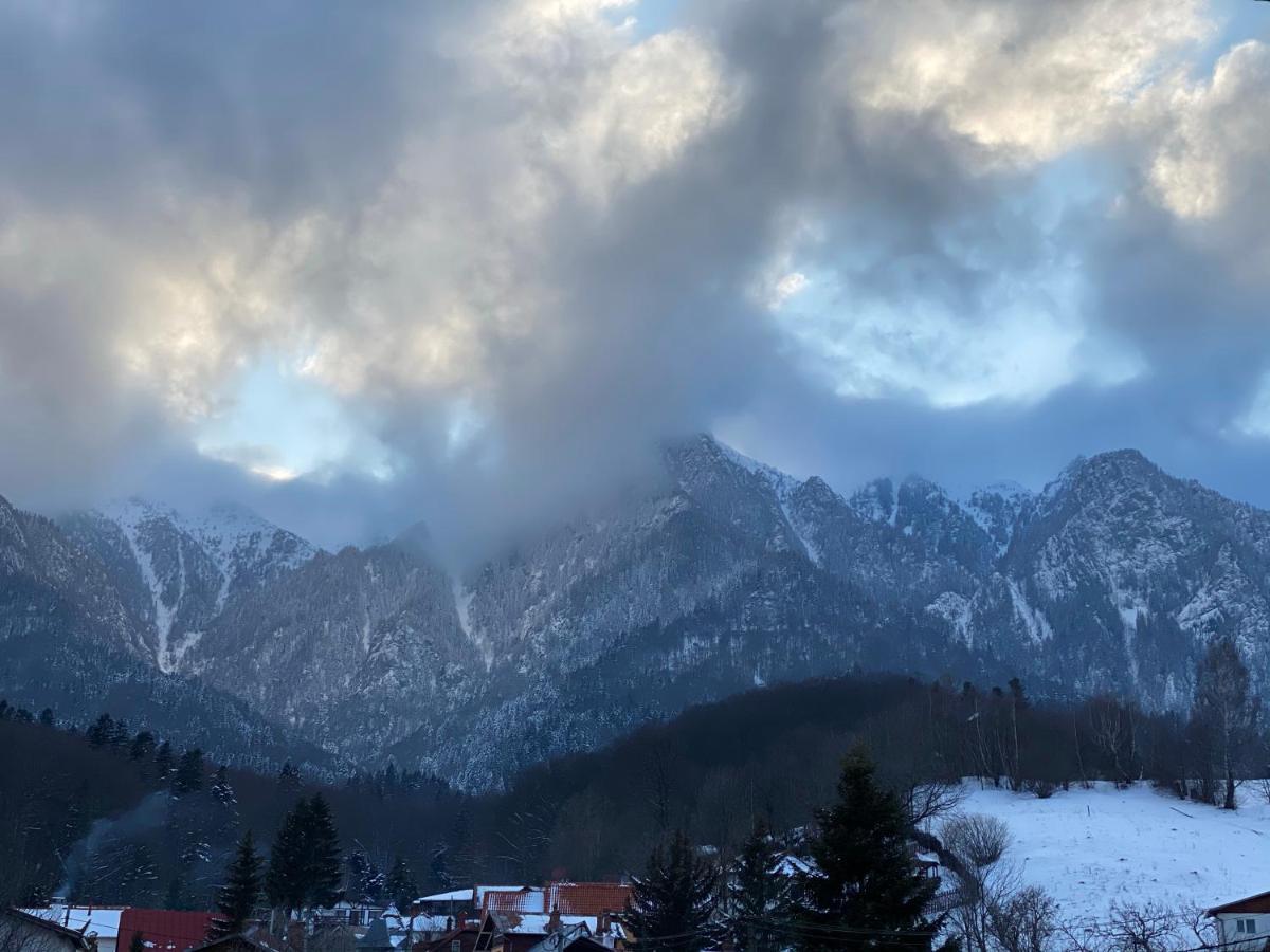 Bed and Breakfast Casa Ankeli Buşteni Zewnętrze zdjęcie